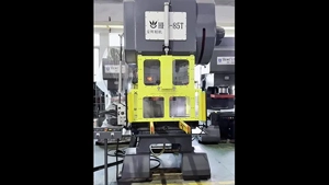 Prensa de bastidor en C HHC-85T (con puerta de seguridad neumática, cortina de luz y brazo de matriz)